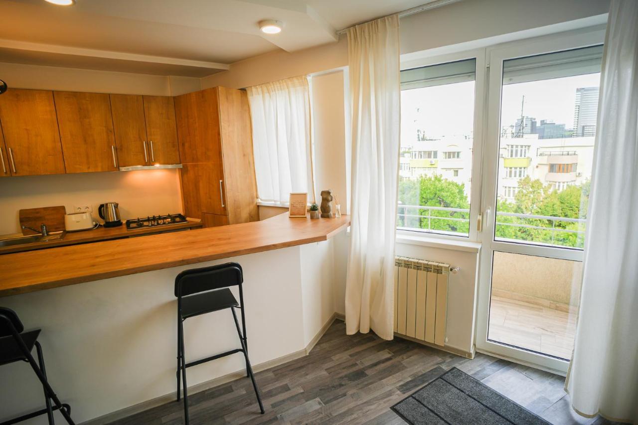 Penthouse With Huge Rooftop & Amazing City View Бухарест Экстерьер фото